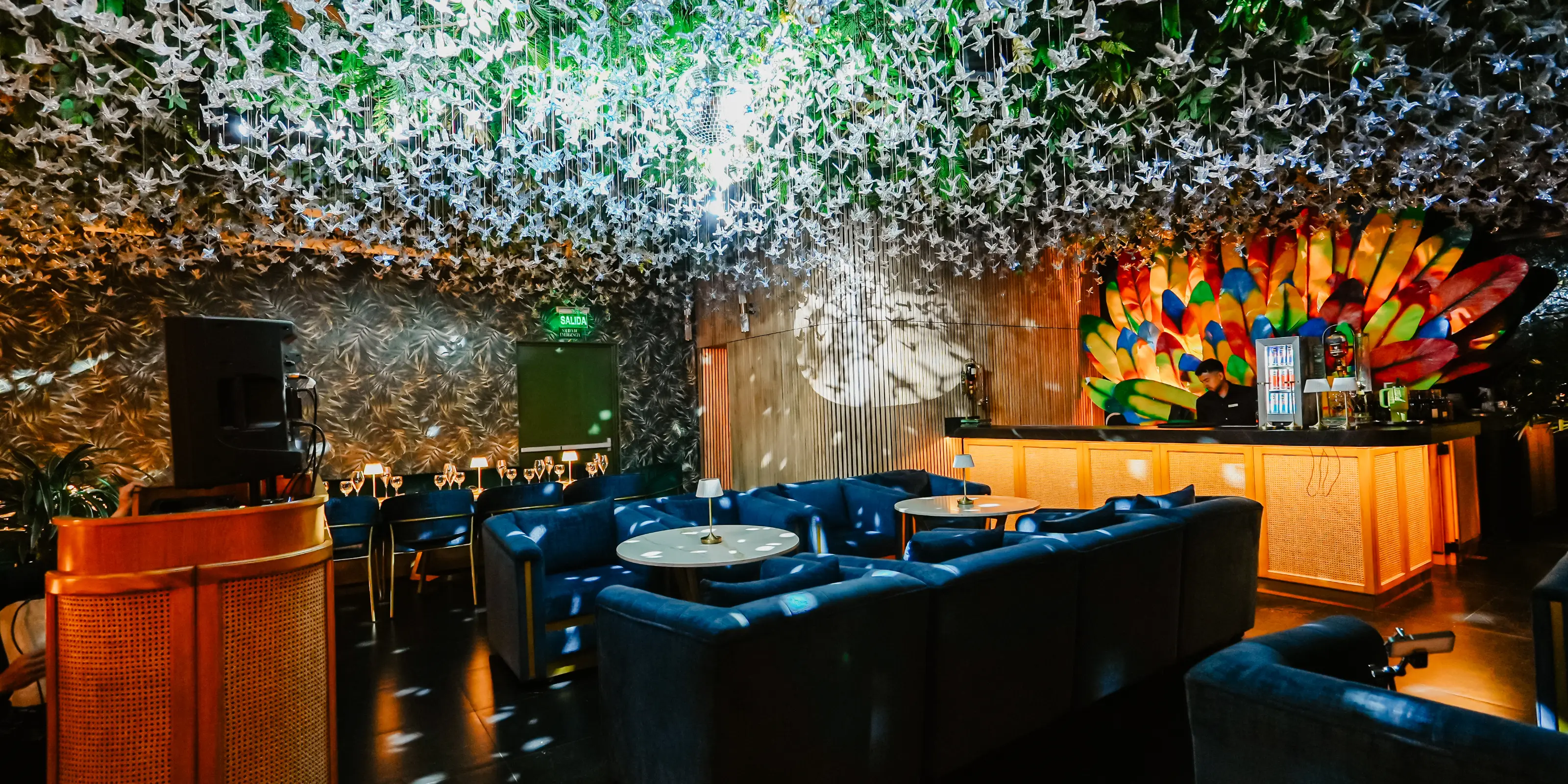 Ambiente Noches Exclusivas Celeste